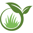 Leesburg Lawn Clean Up