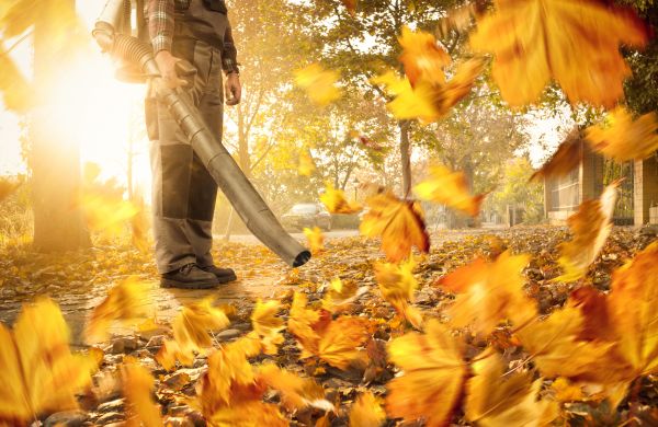 Cost of Leaf Blowing Service in Leesburg