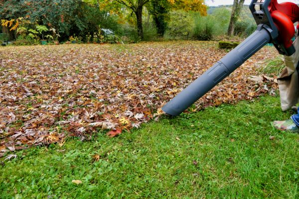 Cost of Leaf Vacuuming Service in Leesburg