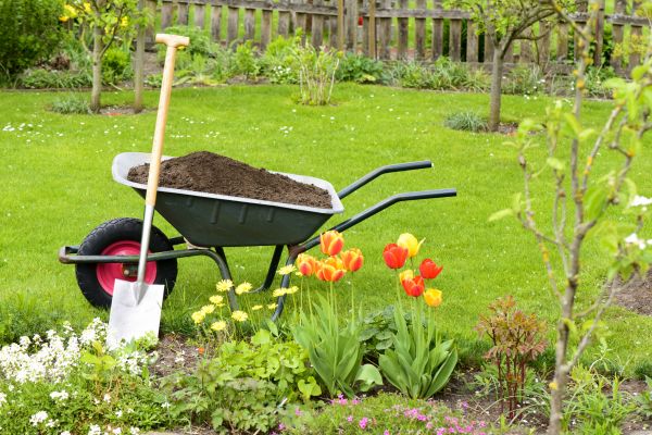 Cost of Spring Yard Cleanup in Leesburg