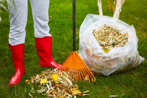 Cost of Leaf Disposal Service in Leesburg