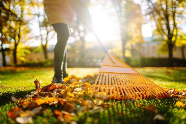 Cost of Leaves Raking in Leesburg