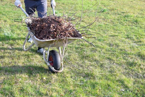 Yard Brush Removal in Leesburg