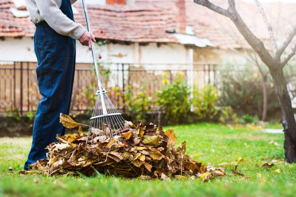 Cost of Fall Yard Cleanup Service in Leesburg