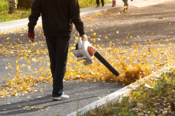 Cost of Commercial Leaf Removal in Leesburg