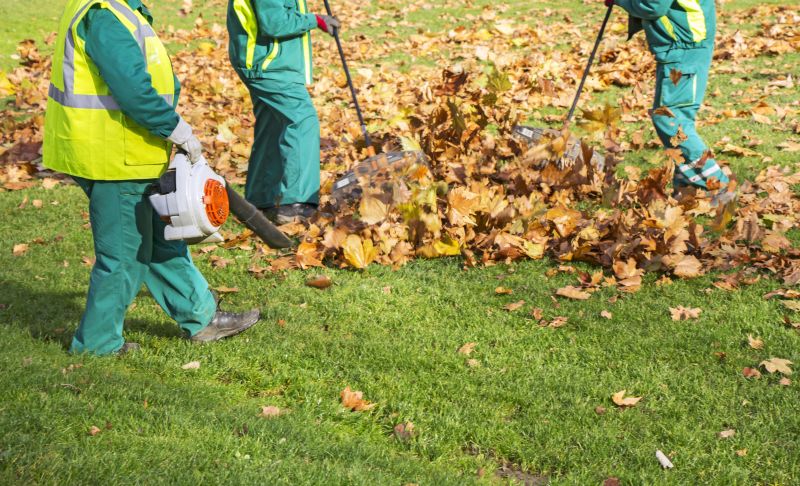 Commercial Leaf Removal